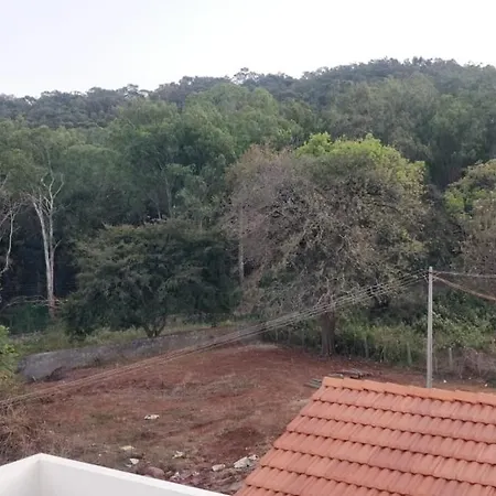 Nandha Illam- The Courtyard Heritage Homestay Yelagiri Hills-3